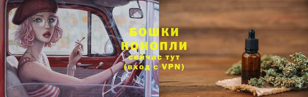 прущие грибы Армянск
