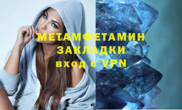 прущие грибы Армянск