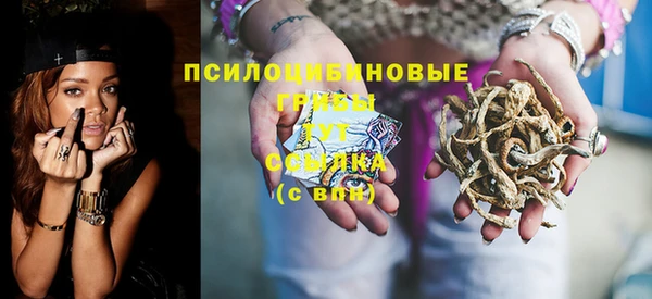 прущие грибы Армянск