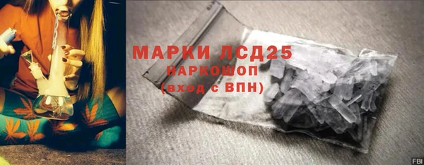 прущие грибы Армянск