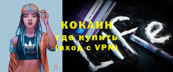 прущие грибы Армянск