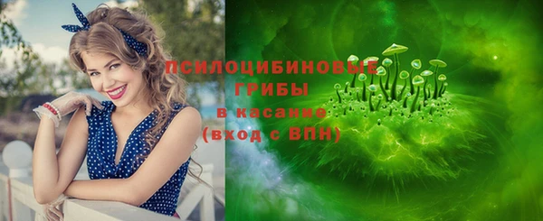 прущие грибы Армянск
