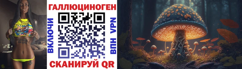 сайты даркнета клад Пудож Псилоцибиновые грибы мицелий