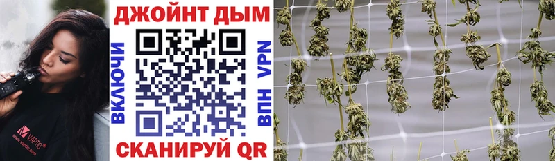 сколько стоит  Пудож  Каннабис VHQ 